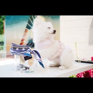 Meet your Posher, Jen